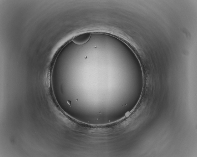 X0000112401510200908141328
