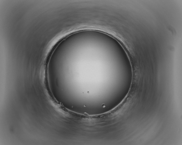 X0000112401511200908141328