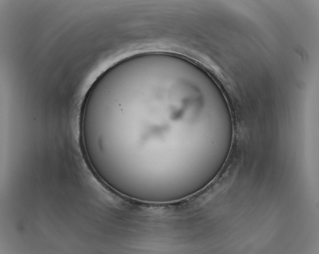 X0000112401512200908141328