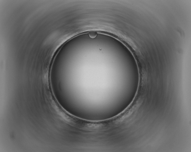 X0000112401513200908141328
