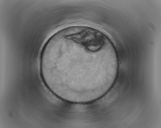 X0000112401514200908141328