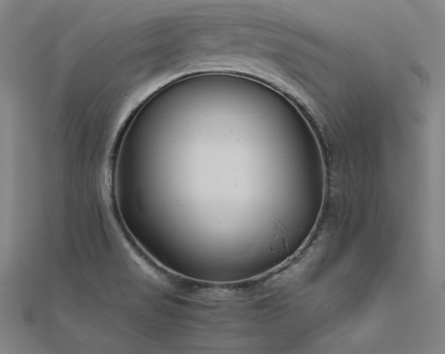 X0000112401517200908141328