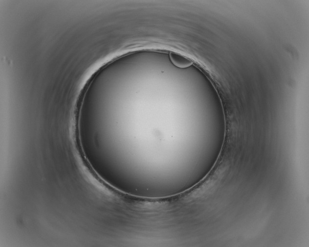 X0000112401518200908141328
