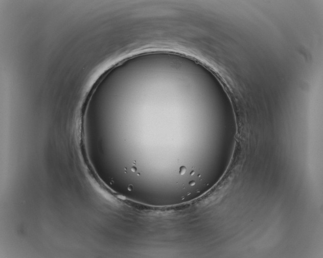 X0000112401519200908141328