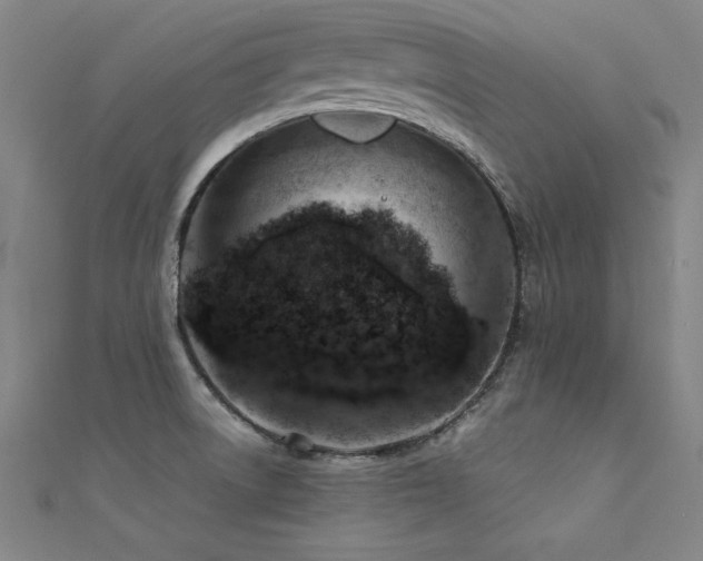 X0000112401522200908141328