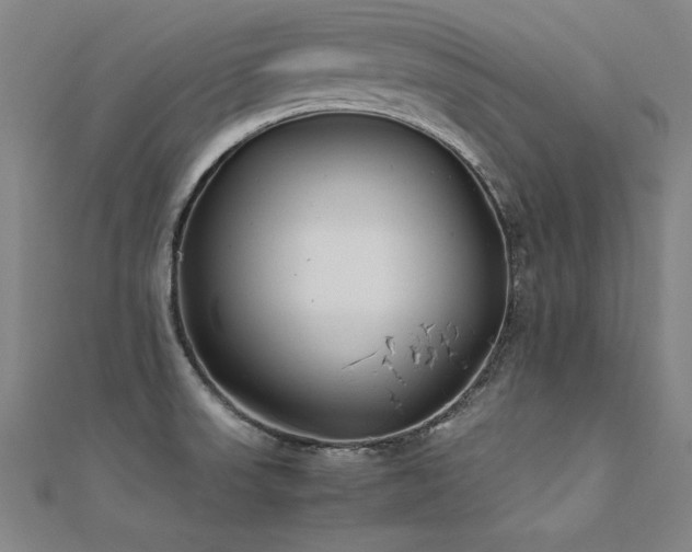 X0000112401523200908141328