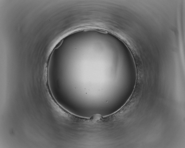 X0000112401524200908141328