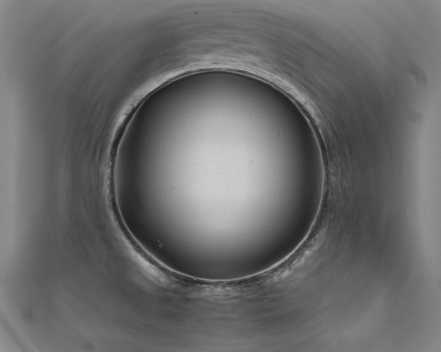 X0000112401525200908141328
