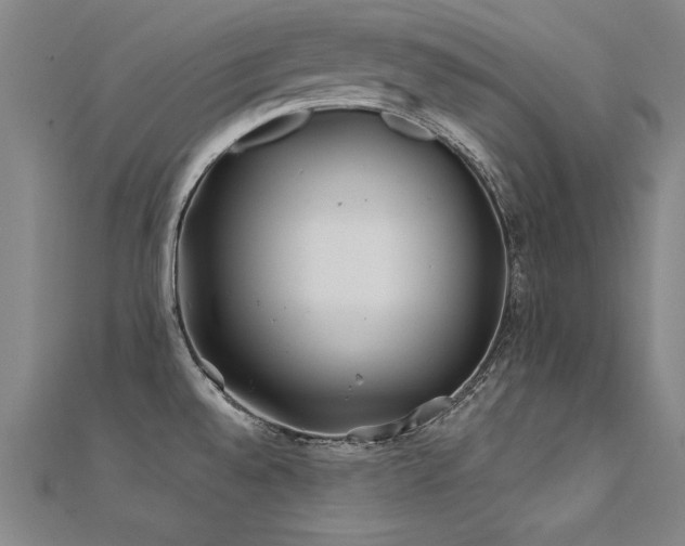 X0000112401528200908141328