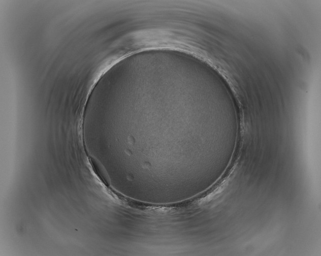 X0000112401529200908141328