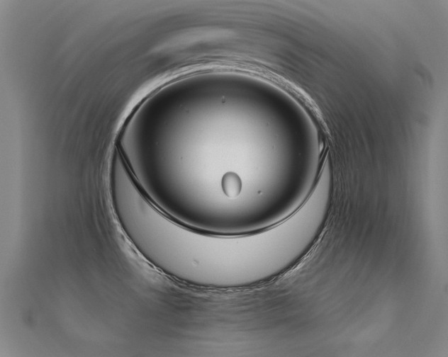 X0000112401530200908141328