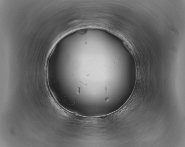 X0000112401532200908141328