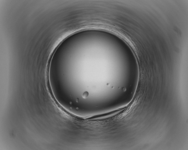 X0000112401533200908141328