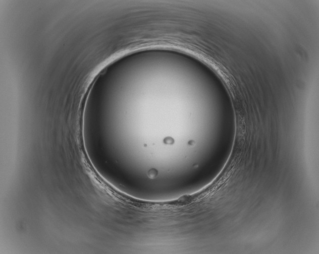 X0000112401534200908141328
