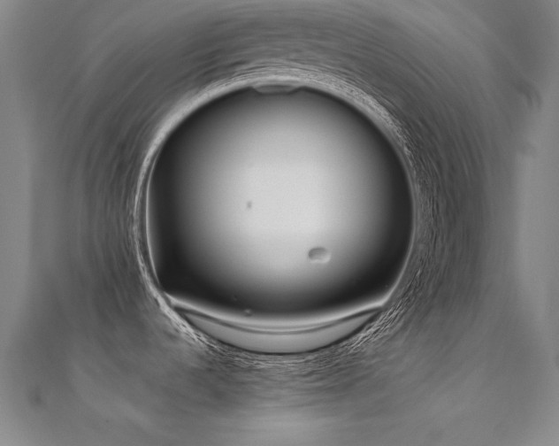 X0000112401536200908141328