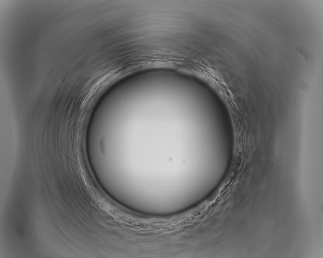 X0000112400001200908211125