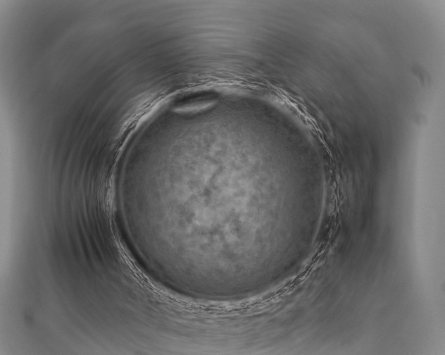 X0000112400002200908211125