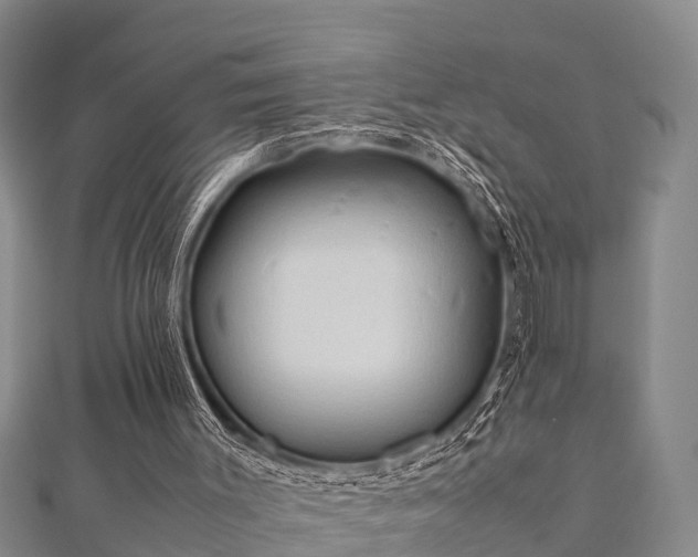X0000112400003200908211125