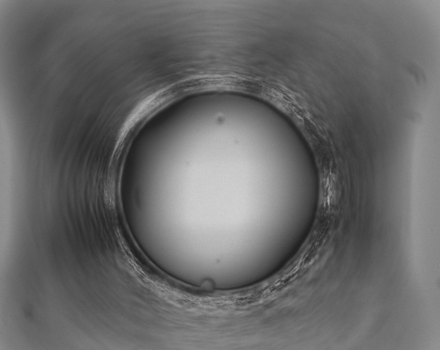 X0000112400004200908211125
