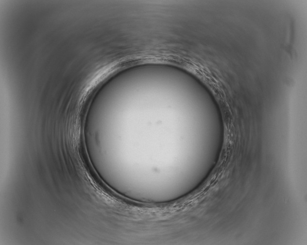 X0000112400005200908211125