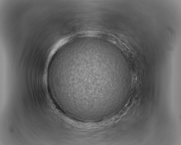 X0000112400006200908211125