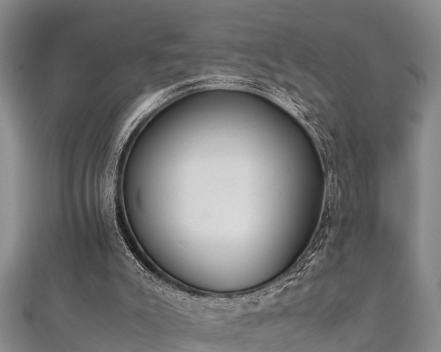 X0000112400007200908211125