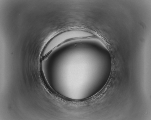 X0000112400008200908211125