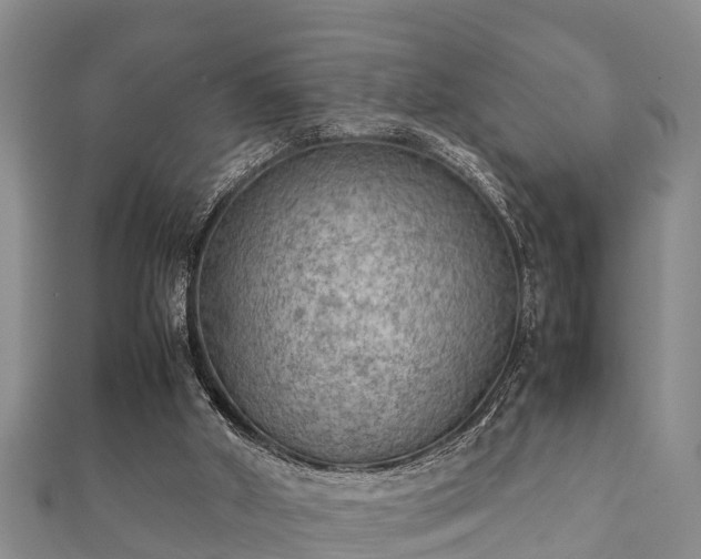 X0000112400010200908211125