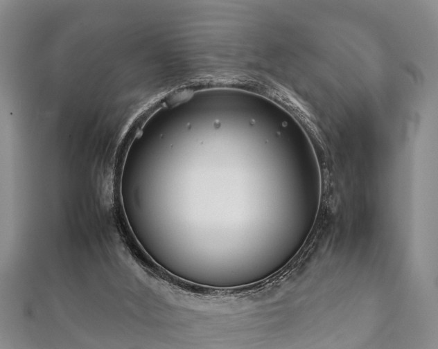 X0000112400012200908211125