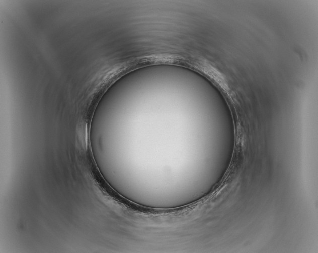 X0000112400013200908211125