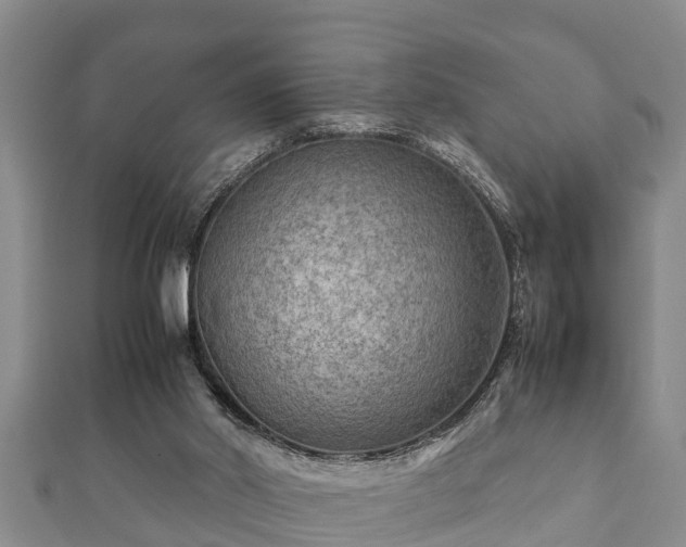 X0000112400014200908211125