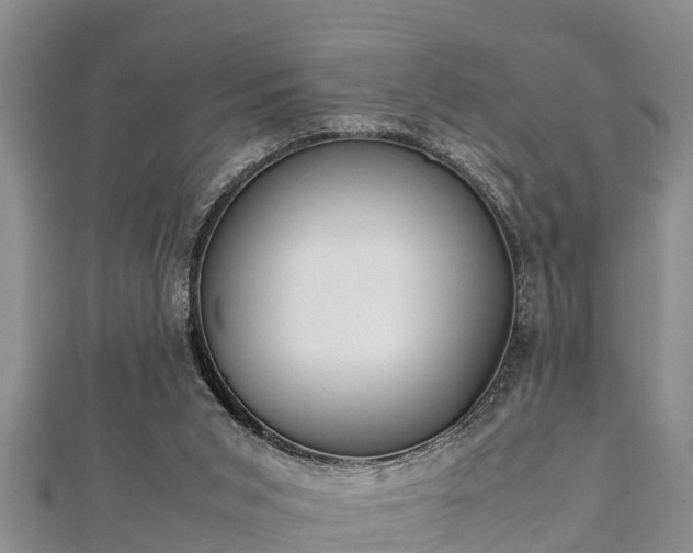 X0000112400015200908211125