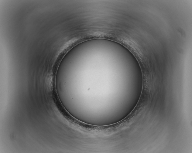 X0000112400016200908211125
