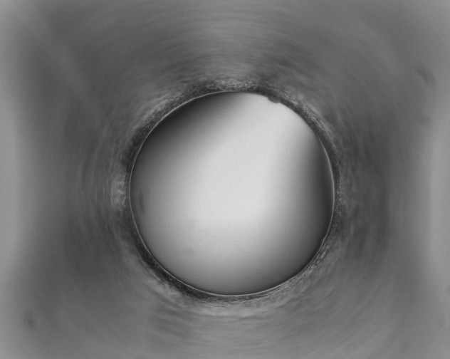 X0000112400017200908211125