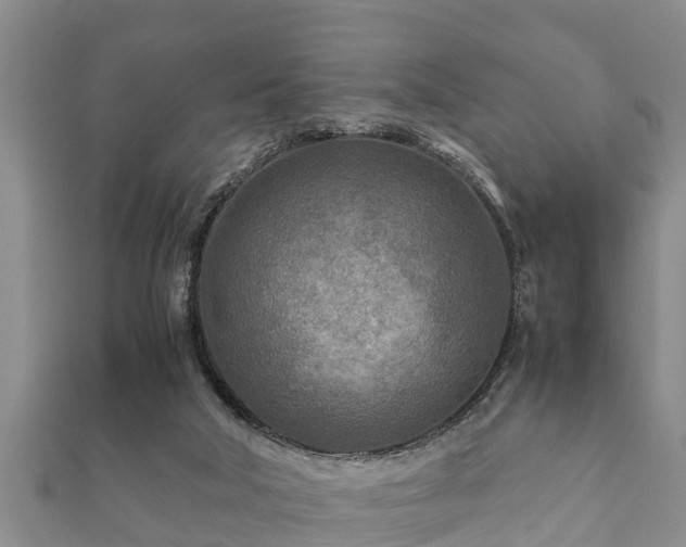 X0000112400018200908211125