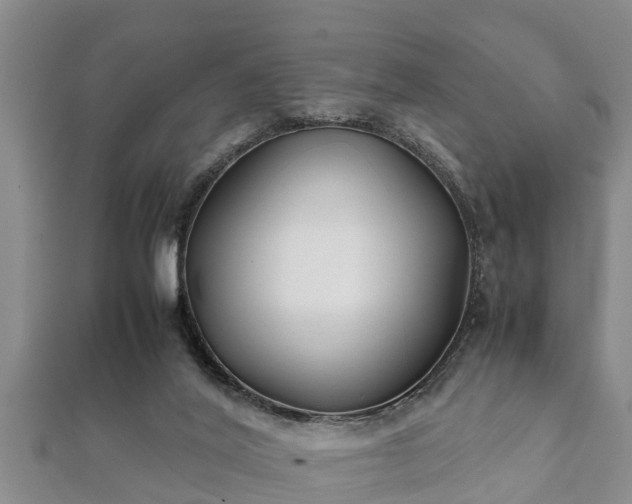 X0000112400020200908211125