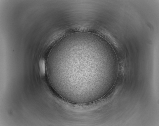 X0000112400022200908211125