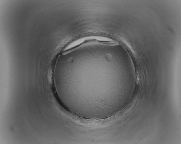 X0000112400023200908211125