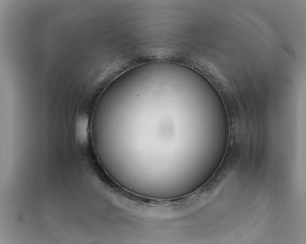 X0000112400024200908211125