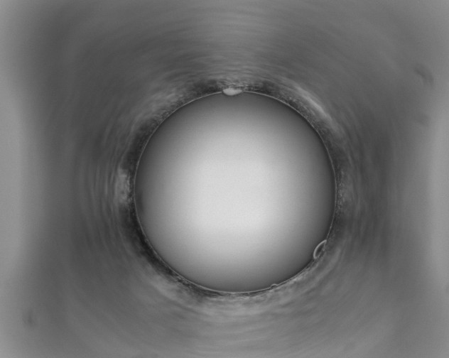 X0000112400025200908211125