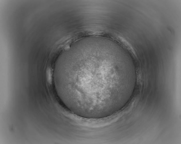 X0000112400026200908211125