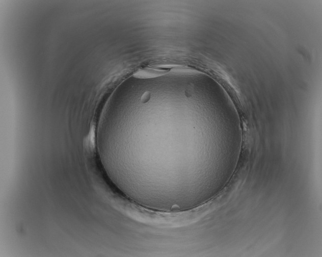 X0000112400027200908211125