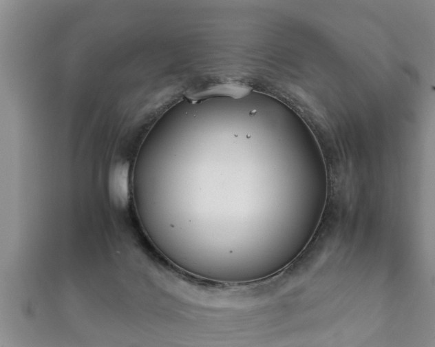 X0000112400028200908211125