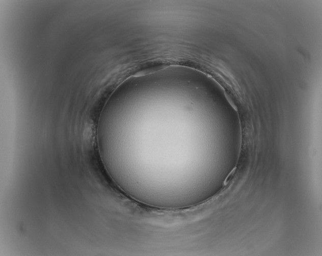 X0000112400029200908211125