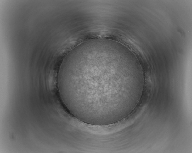 X0000112400030200908211125