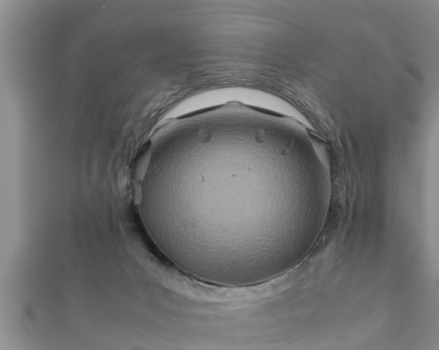 X0000112400031200908211125