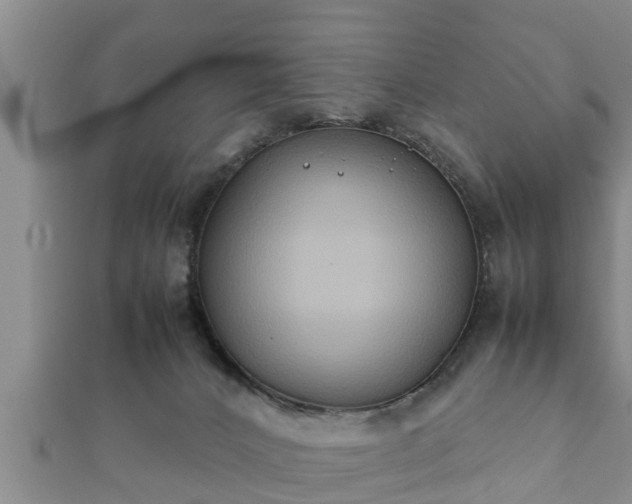 X0000112400032200908211125