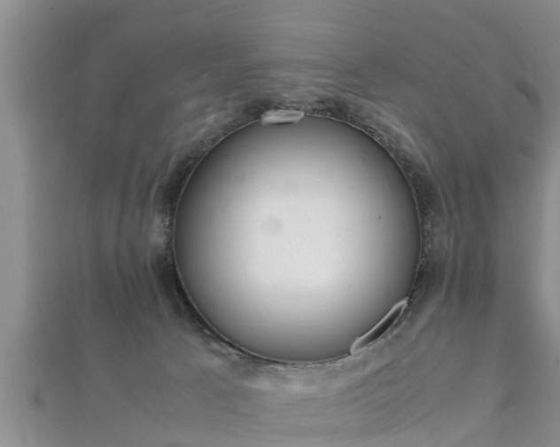 X0000112400033200908211125