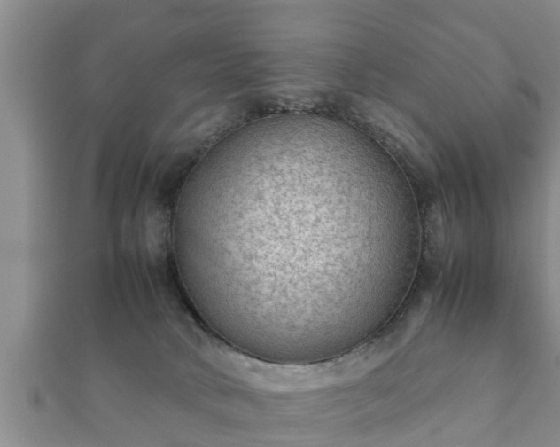 X0000112400034200908211125