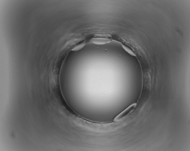 X0000112400035200908211125